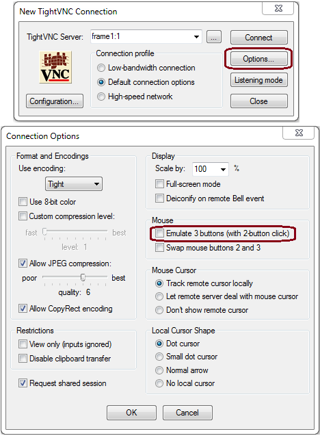 图 80:TightVNC connection options