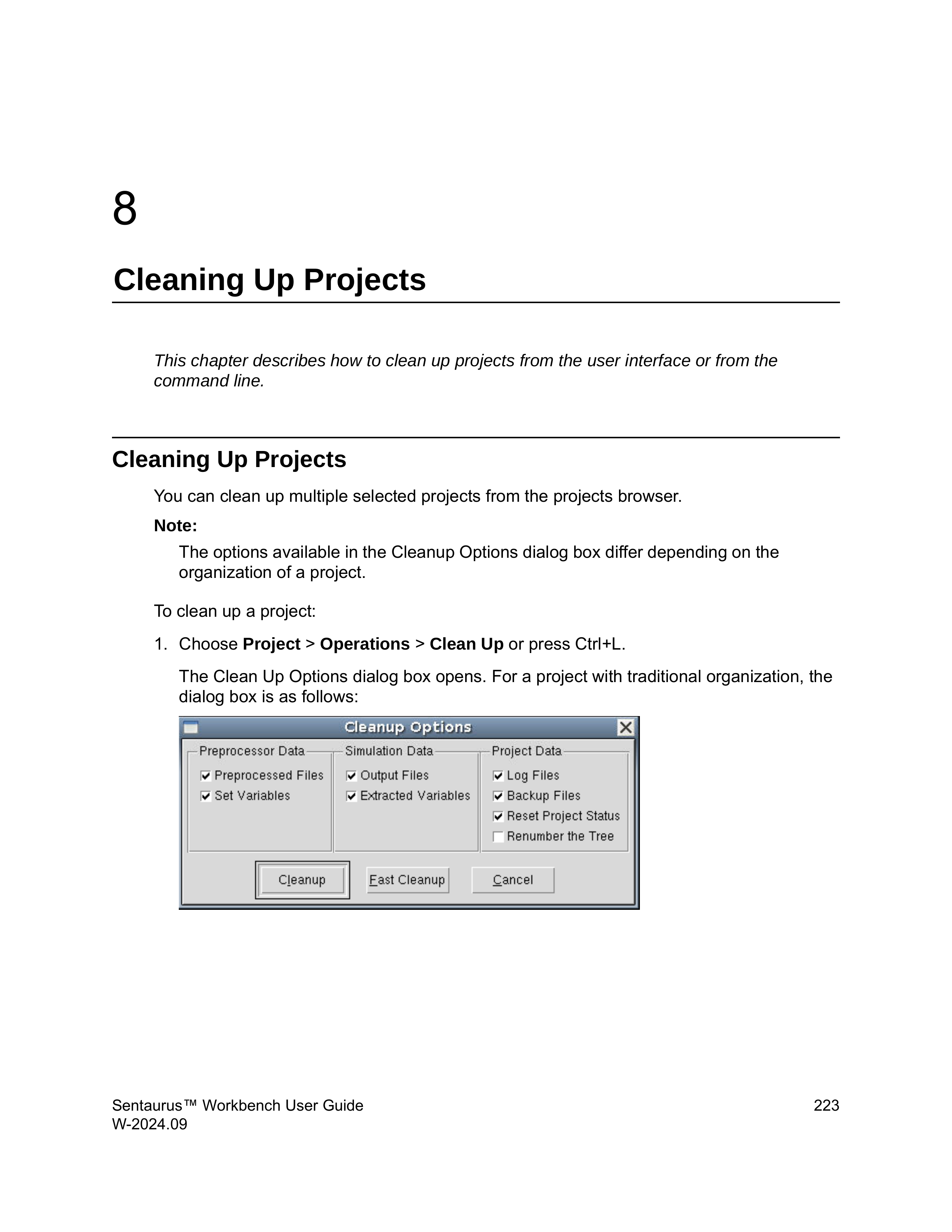 Cleanup Options 对话框：传统组织
